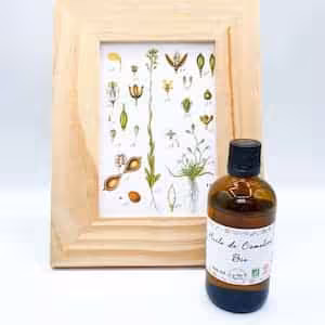 cosmetiques-fait-maison-huile-de-Cameline cosmetiques fait-maison huile de Cameline