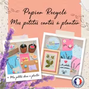 kit cartes a planter en papier recycle